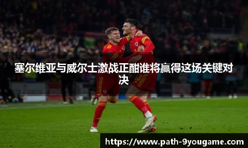 塞尔维亚与威尔士激战正酣谁将赢得这场关键对决
